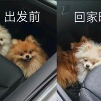 清华做题家长安打螺丝头像