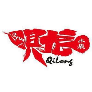 淇龙小高头像