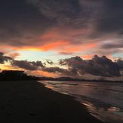 流浪的猫231的个人资料头像