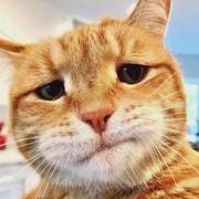 duxianwei520的个人资料头像