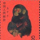 正在载入445头像