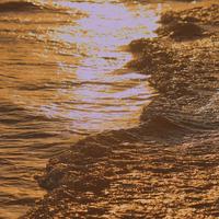 无所谓51831头像