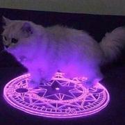 ELIASZ的个人资料头像