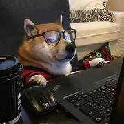 消愁505的个人资料头像