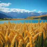 Oh_Barley的个人资料头像