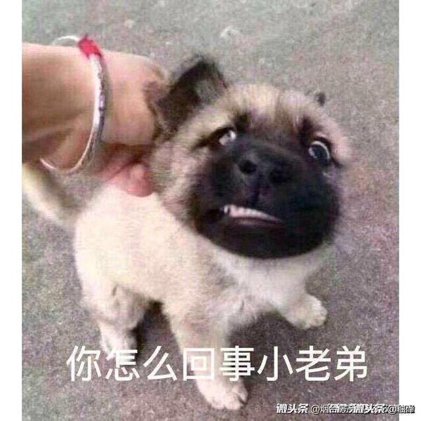 我爱璇璇璇头像