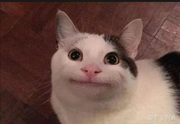zjbnyw的个人资料头像