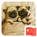 不是程序员的程序员的个人资料头像