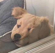 ming小小的个人资料头像