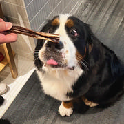 读书不觉春已深的个人资料头像