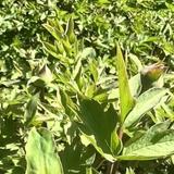 小城的Story头像