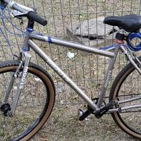 无心藏海花头像