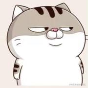 养家糊口T的个人资料头像