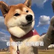 用户0094的个人资料头像