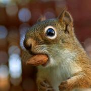 贰零叁零的个人资料头像