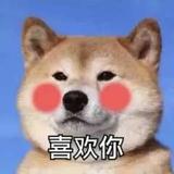 南墙CC头像
