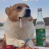 阿温930头像