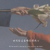 优雅小凯分享头像