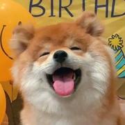 XuanJames的个人资料头像