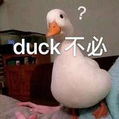 用户9434024243727头像