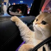 芬G的个人资料头像