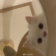 William魏的个人资料头像