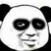 seale的个人资料头像