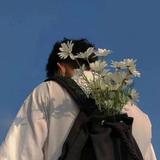 观花A头像