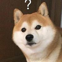 外，那傻狗头像