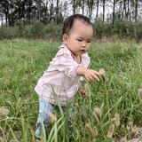 上进咏春头像