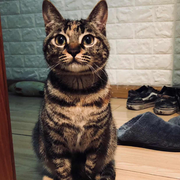 茈_的个人资料头像