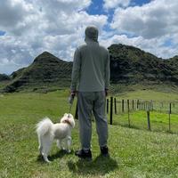 内心深处有个执着头像