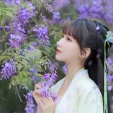 人生若只如初见9990头像