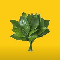 一心只想当个昏君头像