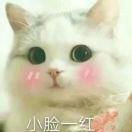 上车请刷ka的个人资料头像