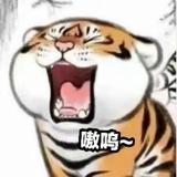 Hg先森头像