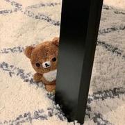 weew283的个人资料头像