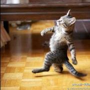 言午少的个人资料头像