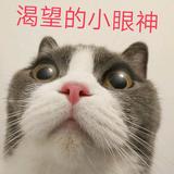 余噗噗头像