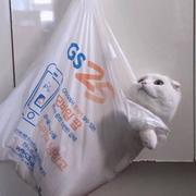 幸平创真的个人资料头像