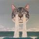 猜猜我是谁头像