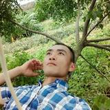 装不了放得下头像