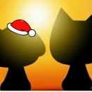 丫丫2212的个人资料头像