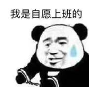 带鱼哥的个人资料头像