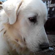 wkj的个人资料头像