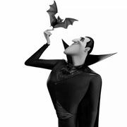 穹庐的个人资料头像