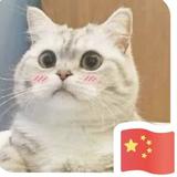 李太白窝窝头头像
