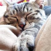 尤立才的个人资料头像