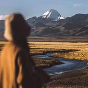 安安83的个人资料头像