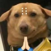 swge的个人资料头像